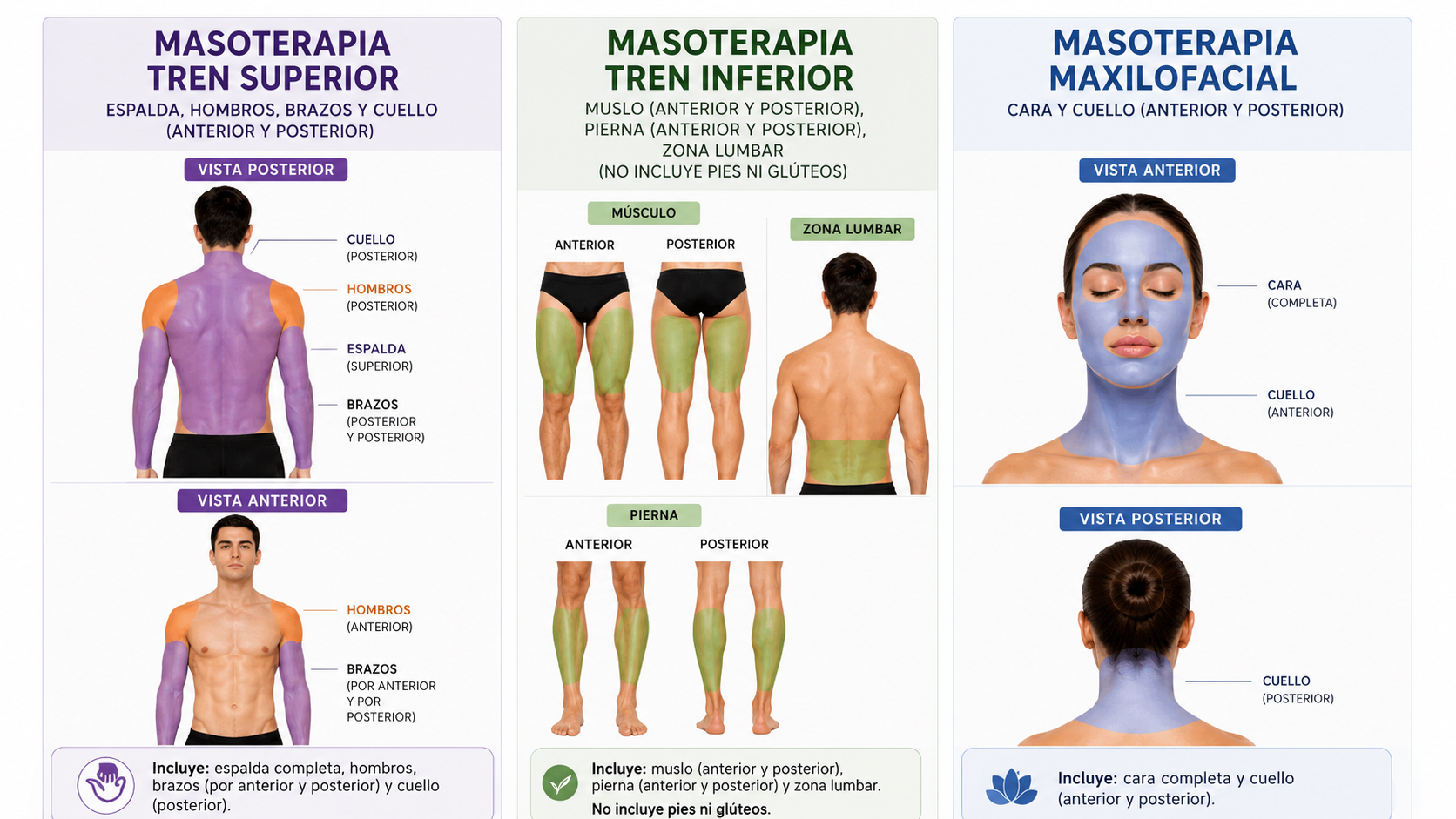 Zonas del cuerpo a tratar según tipo de masaje