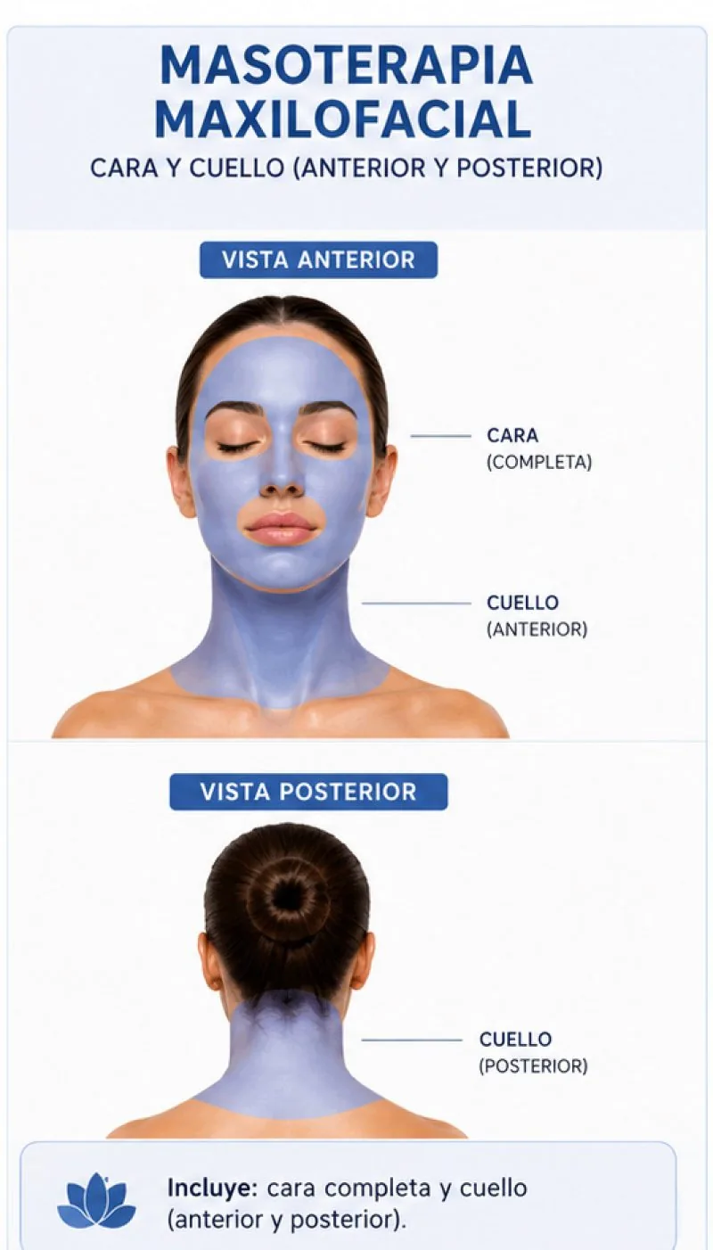 Zonas del masaje maxilofacial: cara completa y cuello por anterior y posterior
