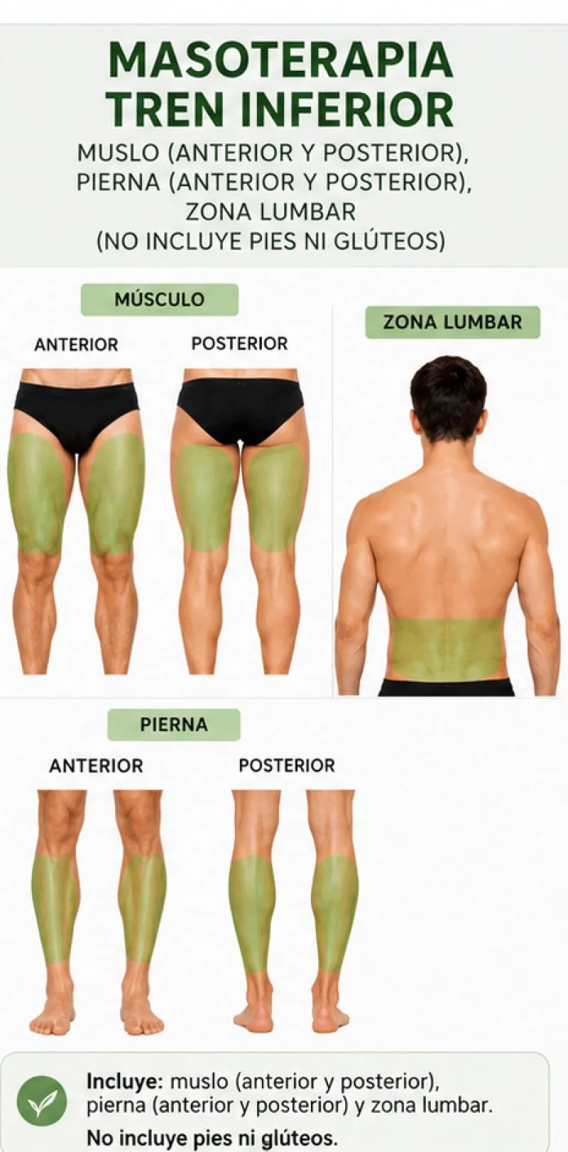 Zonas del masaje de tren inferior: muslo y pierna por anterior y posterior, y zona lumbar