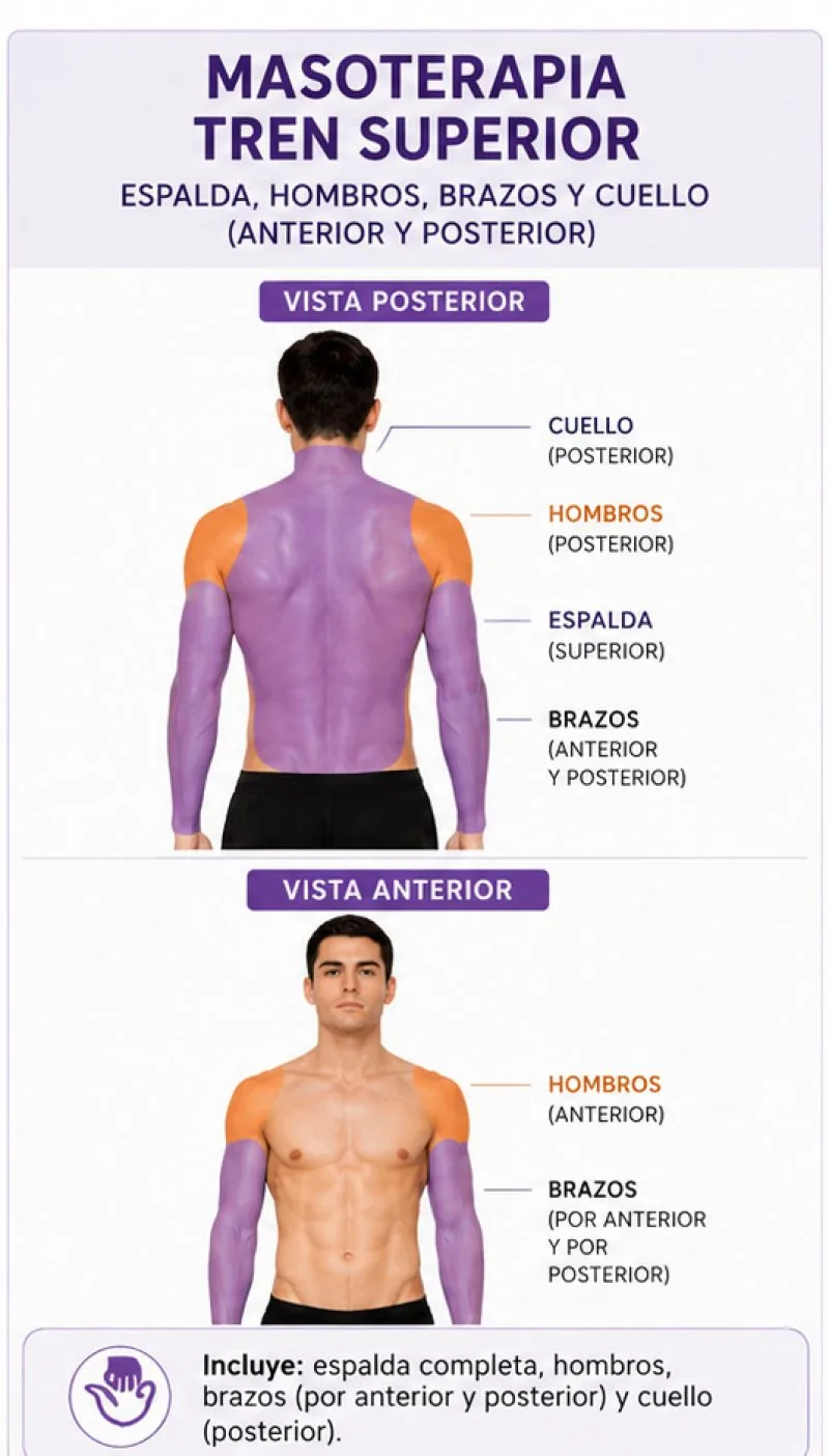 Zonas del masaje de tren superior: espalda completa, hombros, brazos por anterior y posterior, y cuello posterior